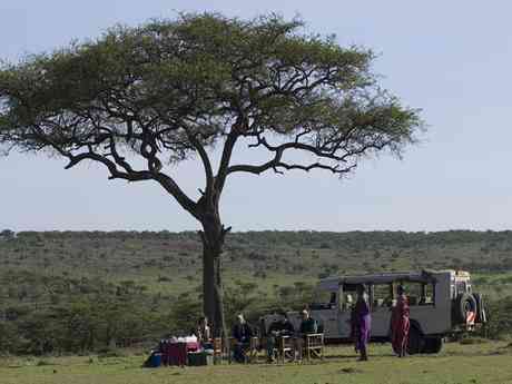 Big Five Porini Camps Safari